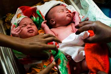 Twin baby boys
